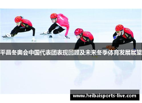 平昌冬奥会中国代表团表现回顾及未来冬季体育发展展望